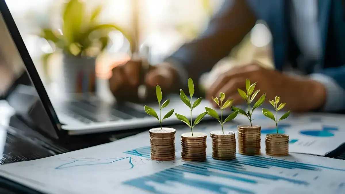 Wat is de free cashflow yield?