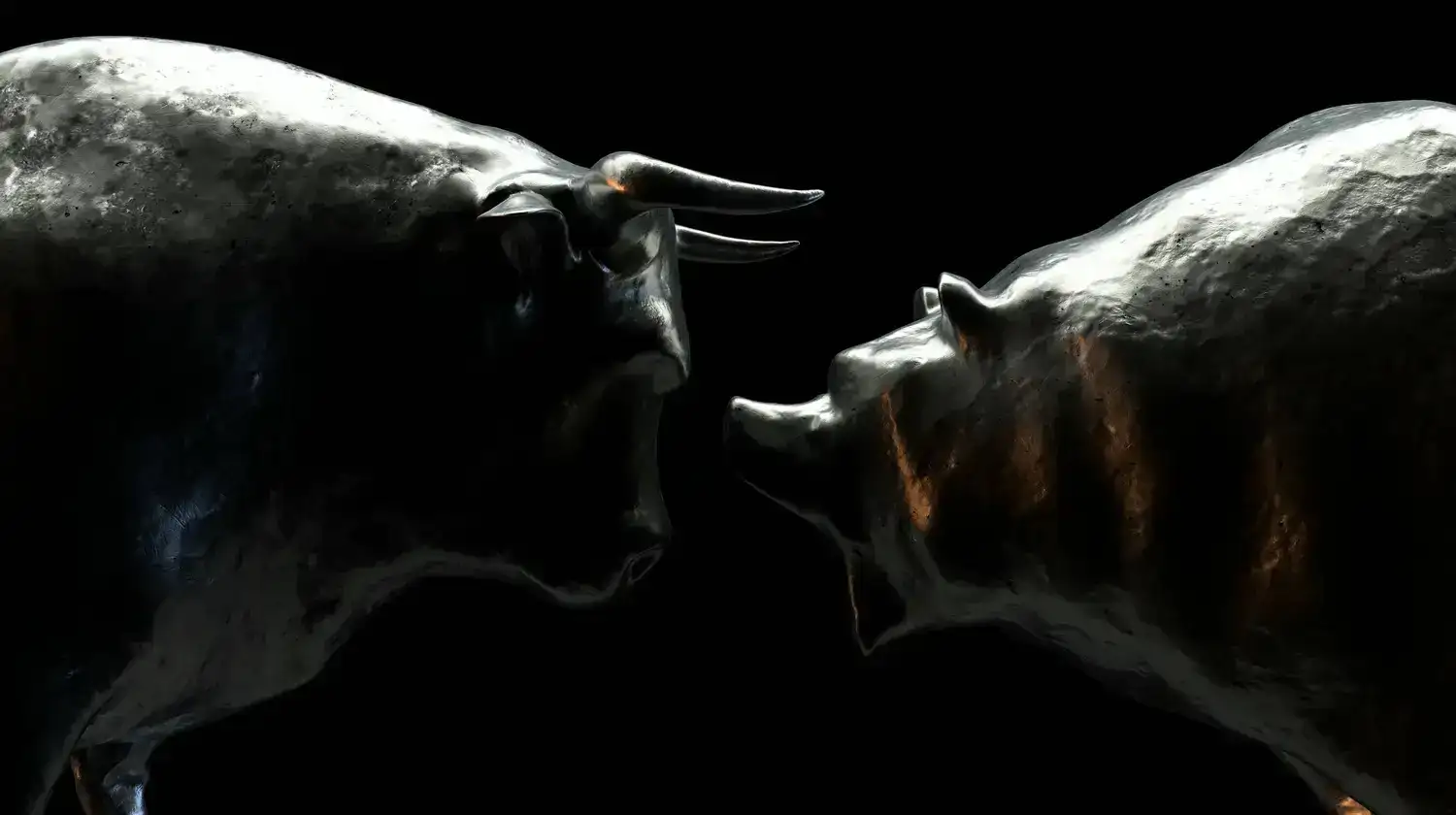 Waarom wij de dip niet kopen, maar wel de mogelijke bear market